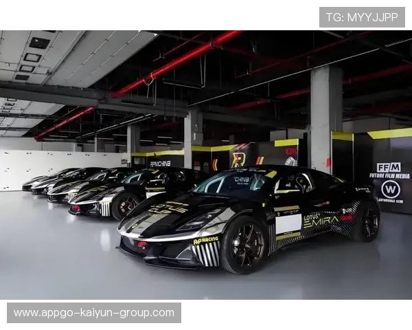 赛车内线强迫超车，精彩绝伦：速度与激情的巅峰对决