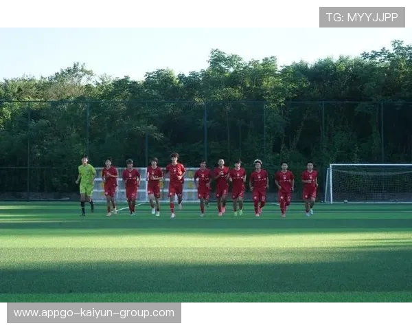 中国足球战略规划中科技引入应用场景，中国足球发展方案