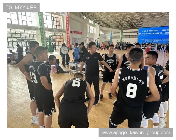 中国篮球运动在高校志愿服务体系中的功能分析，篮球志愿者工作内容