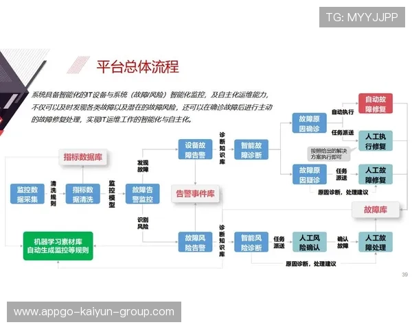 新闻中心独家报道高层管理结构调整强化数字经济布局，数字化领导者的高层关键角色有哪些