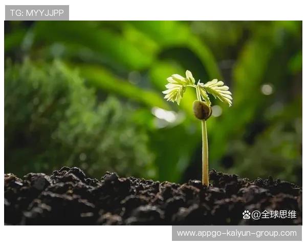 逆境突围，迎战更高目标！，逆境 突破