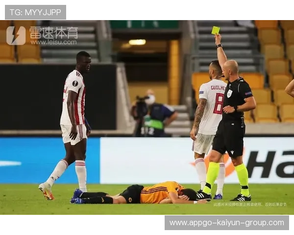 职业体育赛事中裁判判罚透明化的国际趋势研究